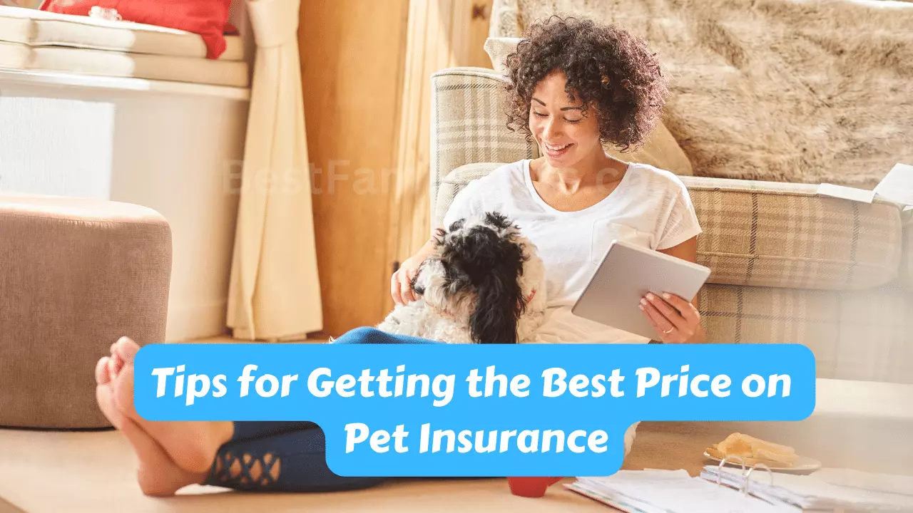 Tips for Getting the Best Price on Pet Insurance