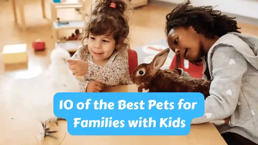 Best Pets For Families With Kids