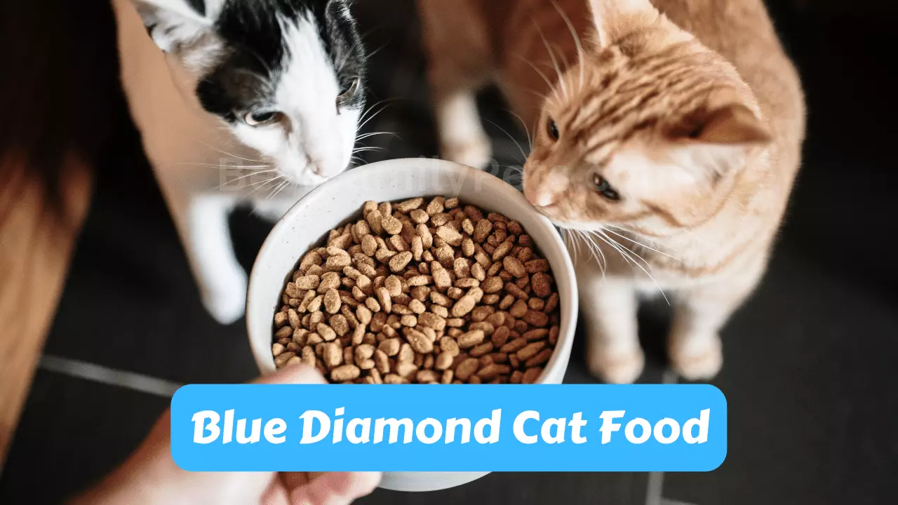 Blue Diamond Cat Food