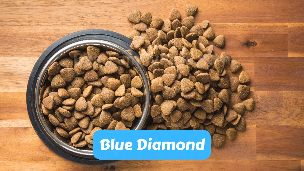 Blue Diamond Dog Food Reviews Best Family Pets