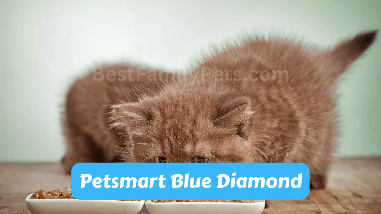 Petsmart’s Blue Diamond brand