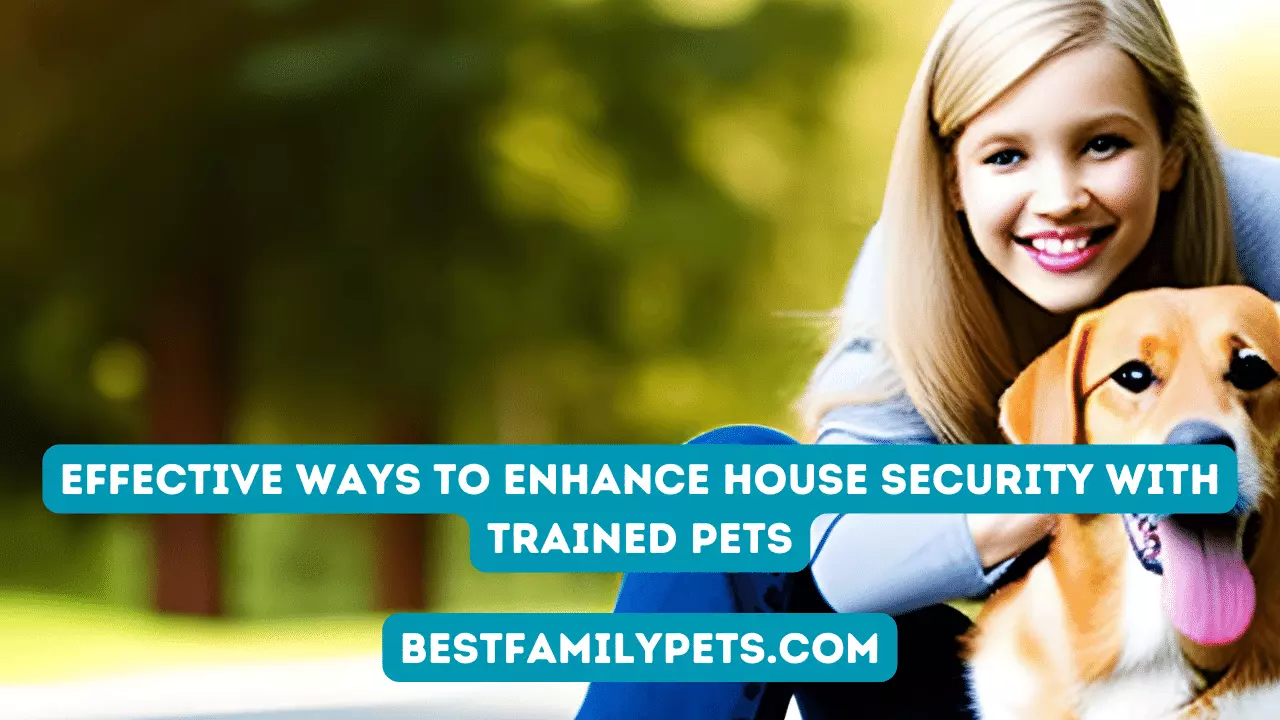 Ways to Enhance House Security with Trained Pets