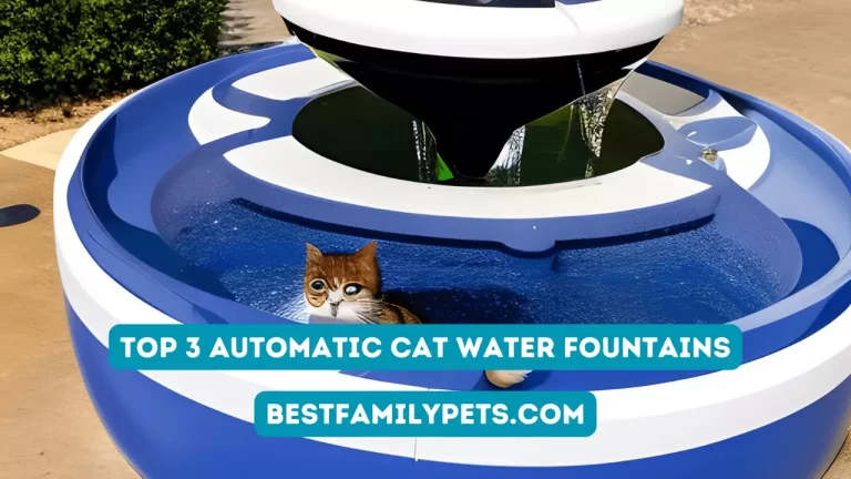 Top 3 Automatic Cat Water Fountains