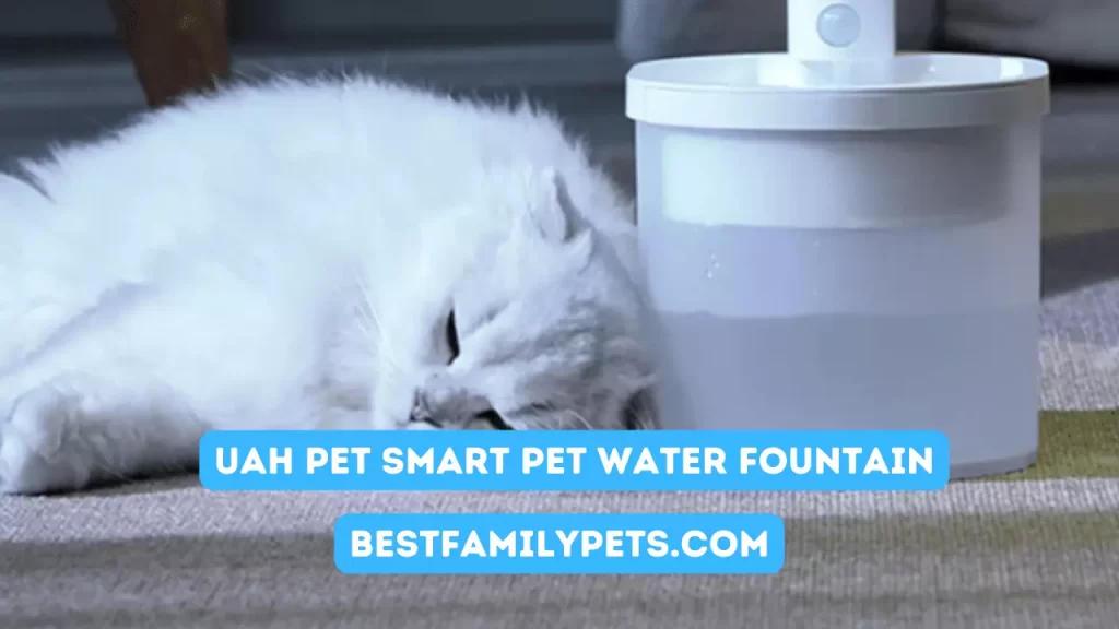 Uah Pet Smart Pet Water Fountain