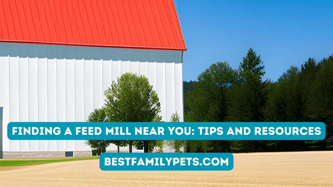 Finding A Feed Mill Near You: Tips And Resources