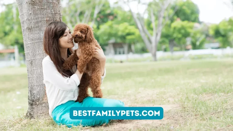 Affectionate Dog Breeds