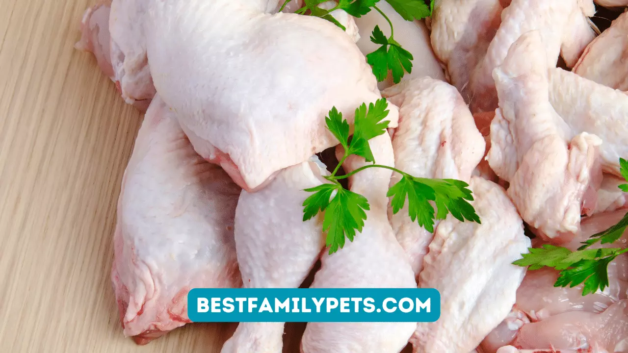 The Best Breeds of Broiler Chickens for Meat Production