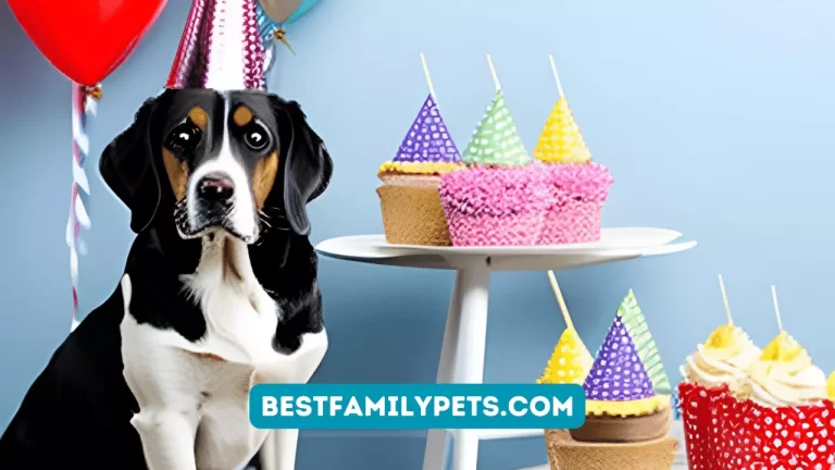 Dog Birthday Party Decorations