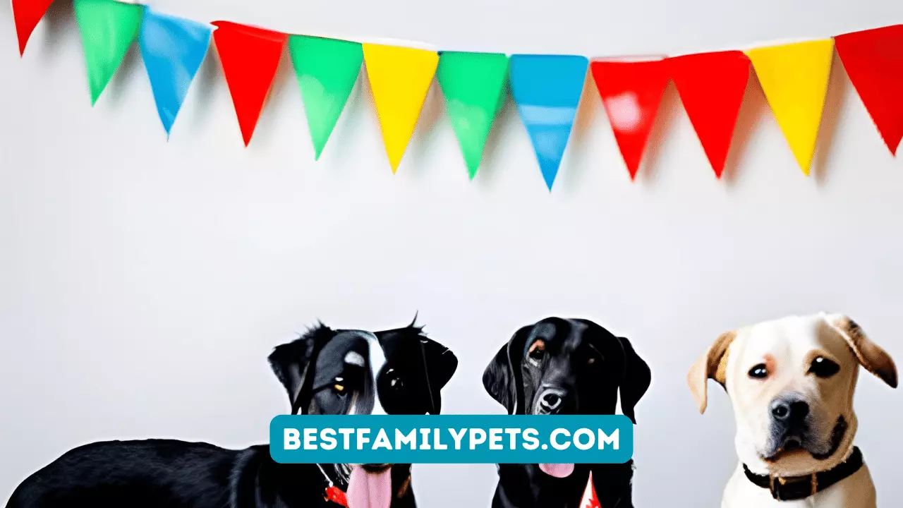 Fun and Memorable Party Ideas for Dog Birthday