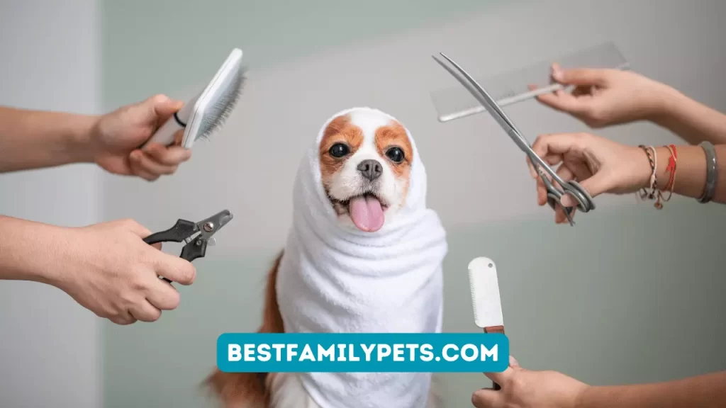 Dog Grooming Essentials