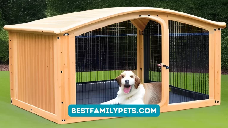 Extra Large Outdoor Dog Kennel with Roof