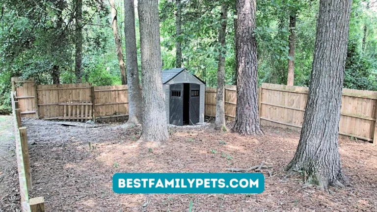 Large Dog Pens for Outside