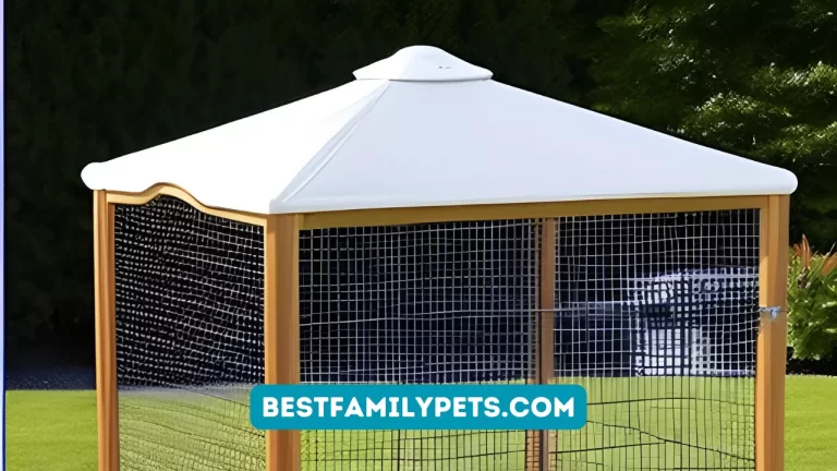 Large Outdoor Dog Kennel