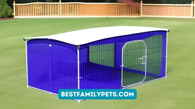 Outdoor Dog Kennels with Roofs