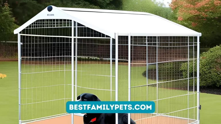 Outdoor Dog Pen with Roof