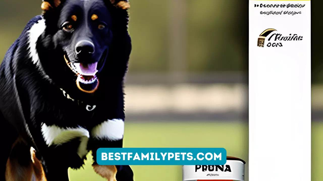Stay Informed: Purina Pro Plan Recalls Details and Tips