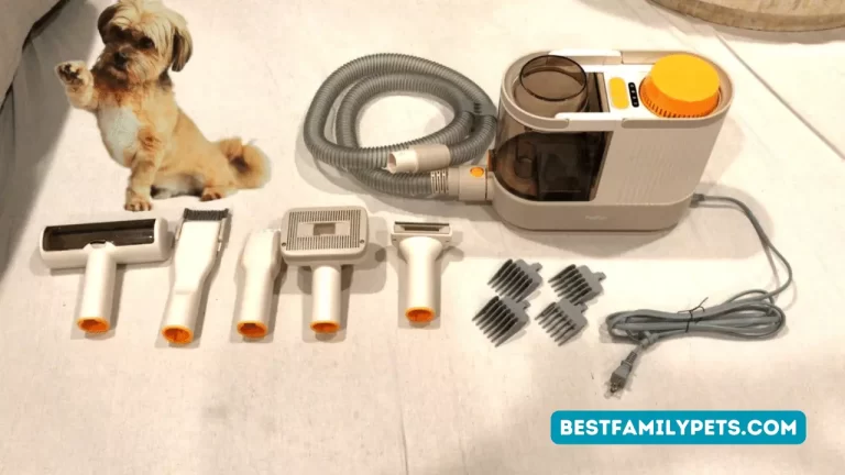 Best Dog Grooming Kit