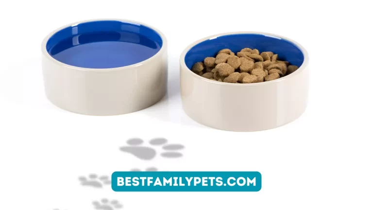 Ceramic Slow Feeder Dog Bowls