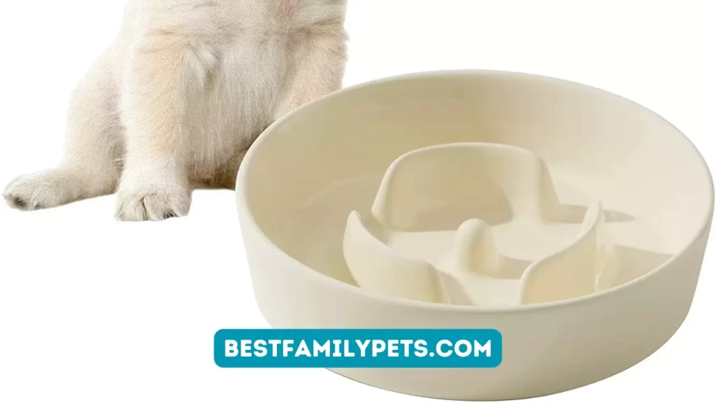 Havniva Store Ceramic Slow-Feeding Dog Bowl