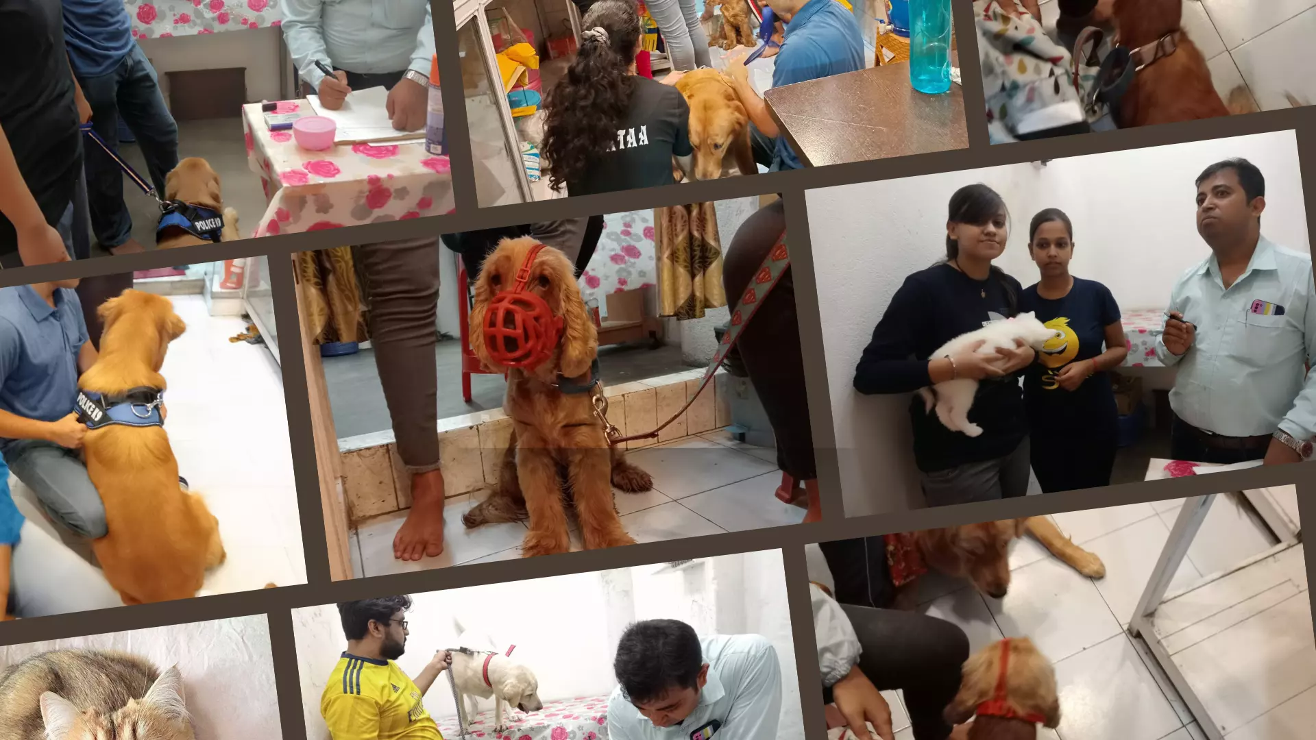 Pet Paradise Mart Clinic in Sheoraphuli