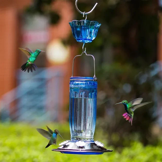 Kingsyard Glass Hummingbird Feeder With Ant Moat