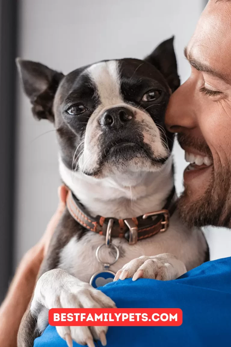 5 Signs It's Time to Hire a Dog Sitter