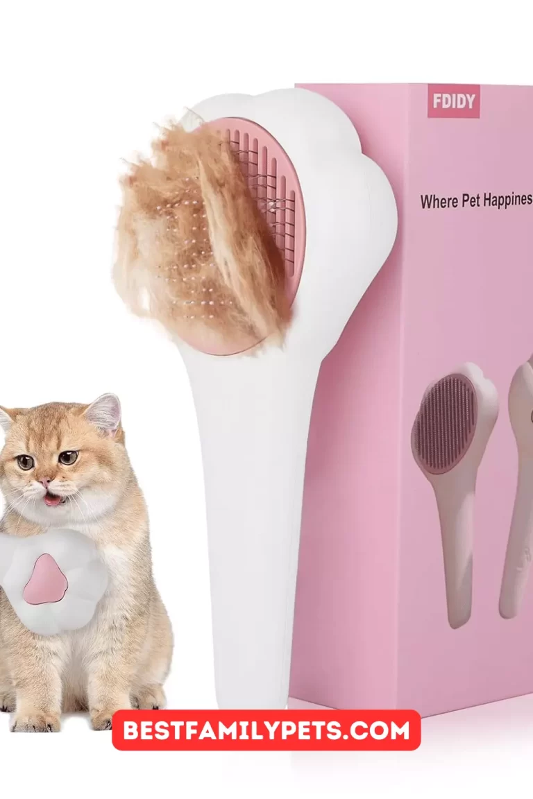 FDIDY Cat Brush for Optimal Grooming and Comfort