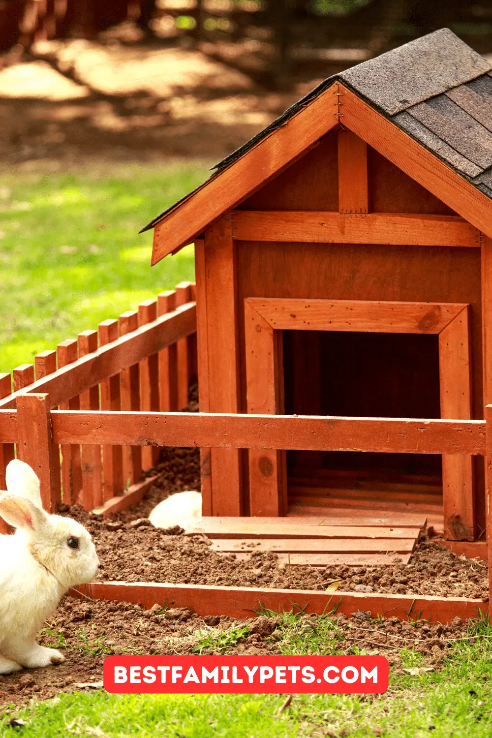 How to Choose a Rabbit Hutch