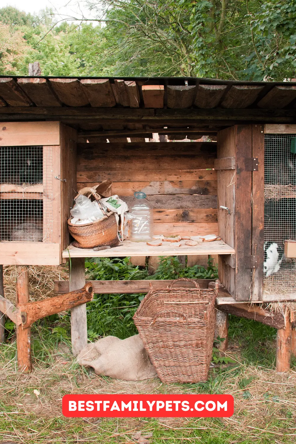 Rabbit Houses and Their Features