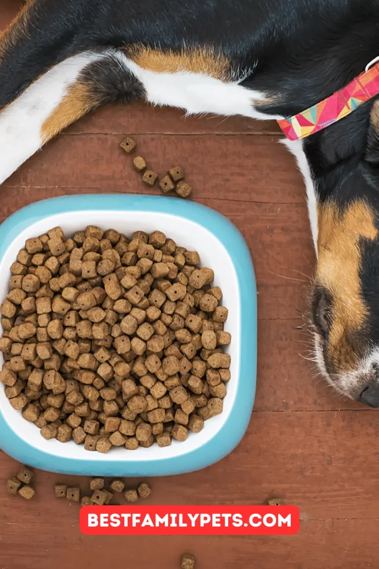 What Dogs Food Has Been Recalled 2019