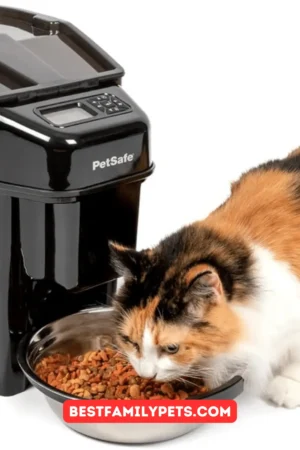 Review: PetSafe Simply Feed Automatic Feeder