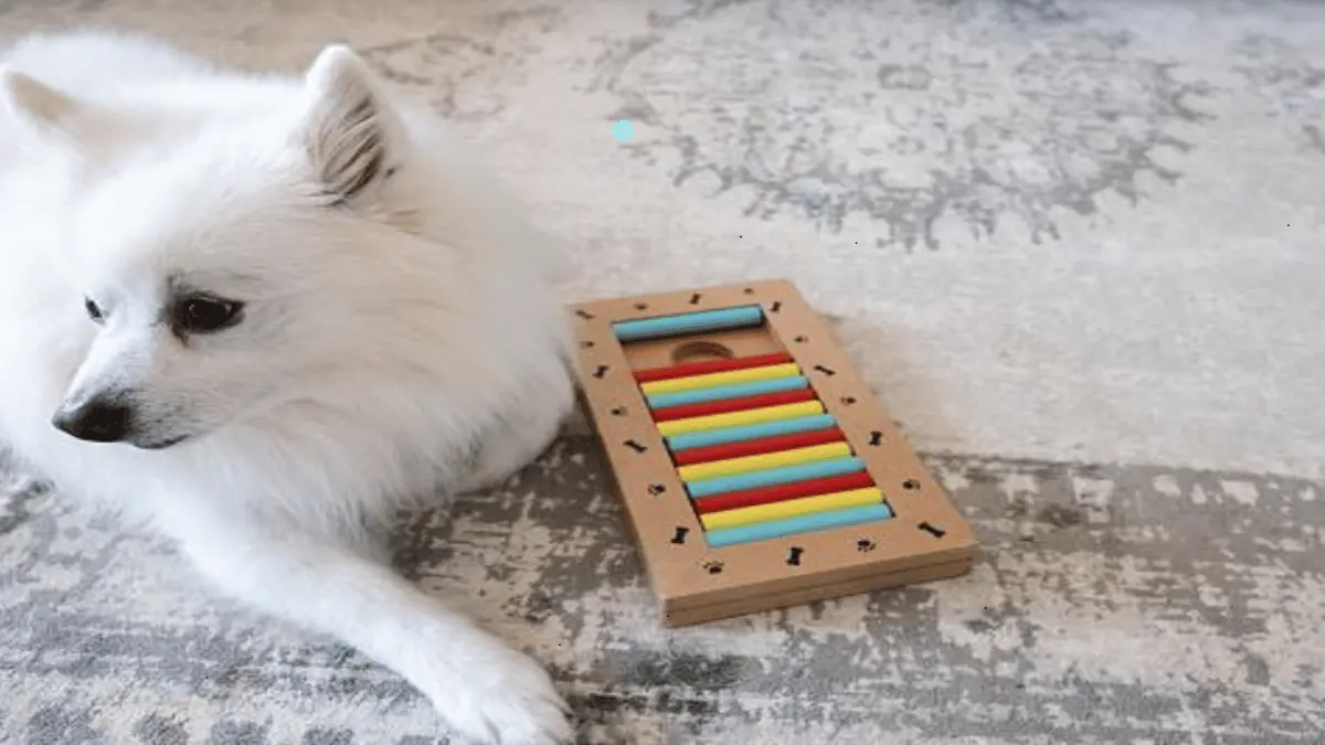 The Role of Puzzle Toys in Preventing Boredom and Destructive Behavior in Pets