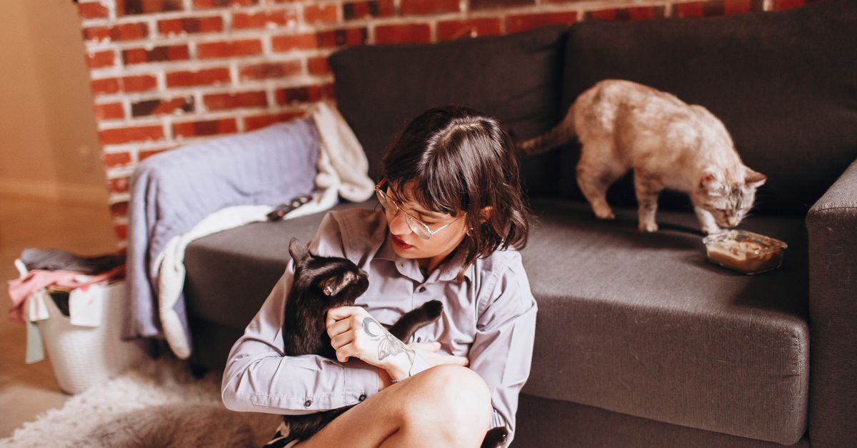 cat owner with pet